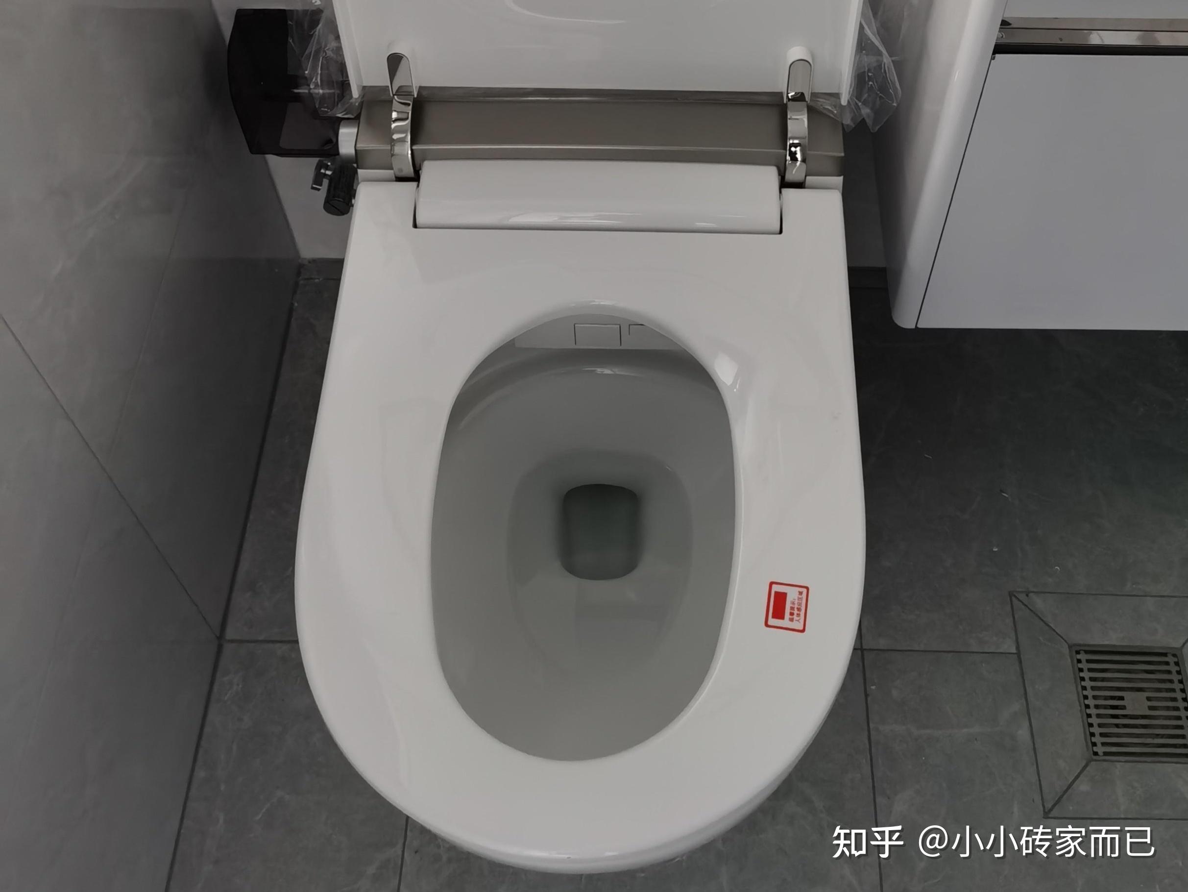 智能马桶功能介绍_智能平衡车什么牌子好_智能马桶选购指南