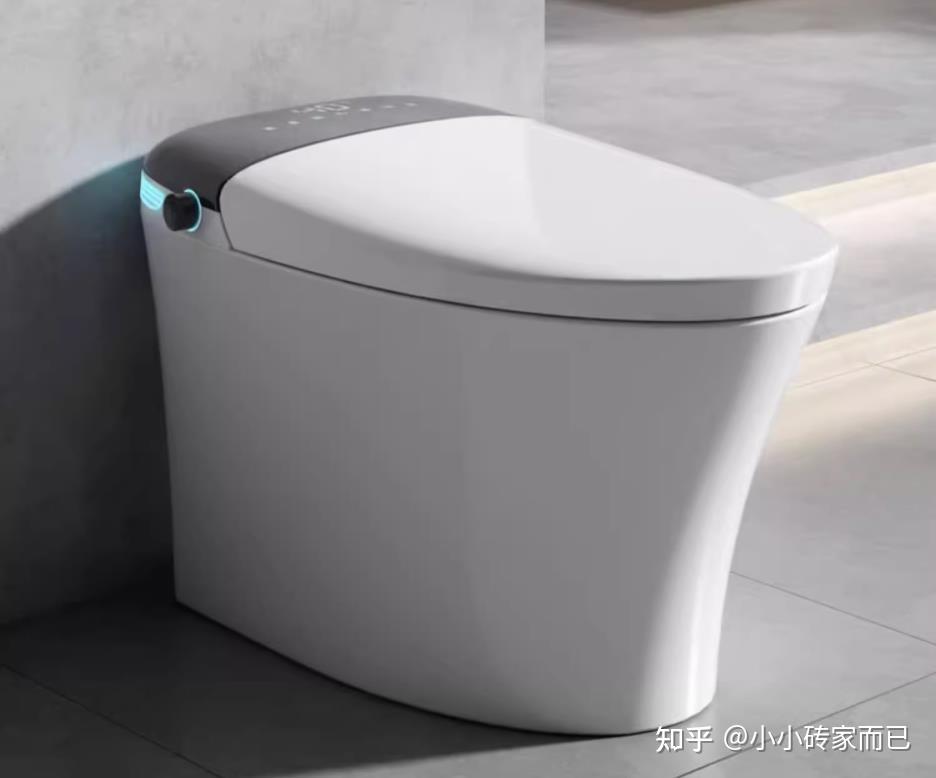 智能马桶功能介绍_智能平衡车什么牌子好_智能马桶选购指南