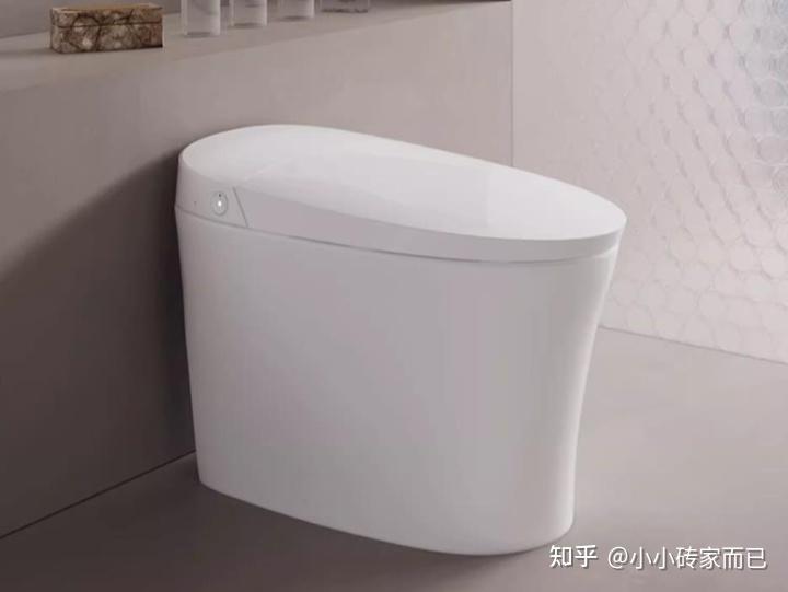 智能马桶功能介绍_智能平衡车什么牌子好_智能马桶选购指南