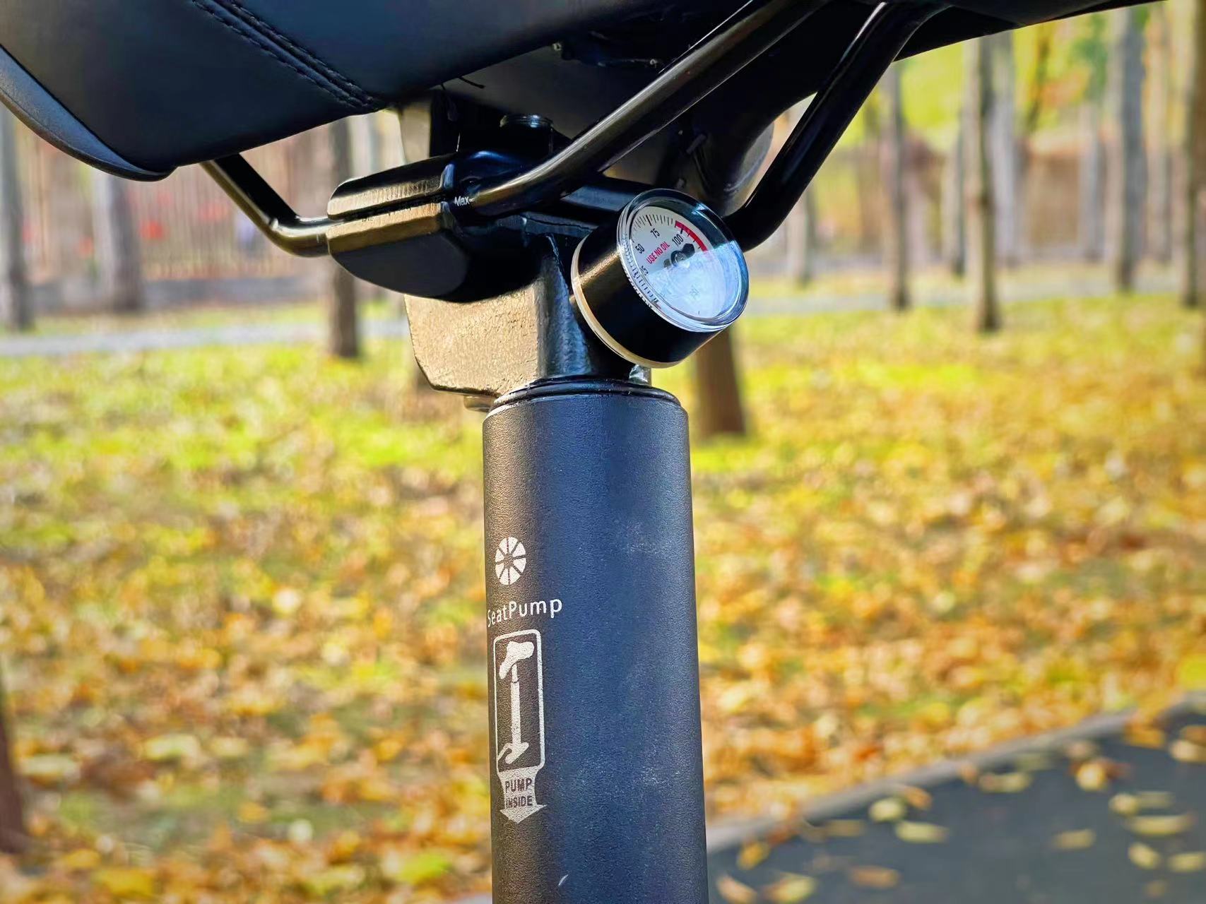 大行sp18改装_大行折叠车 K-one P8 40th纪念版