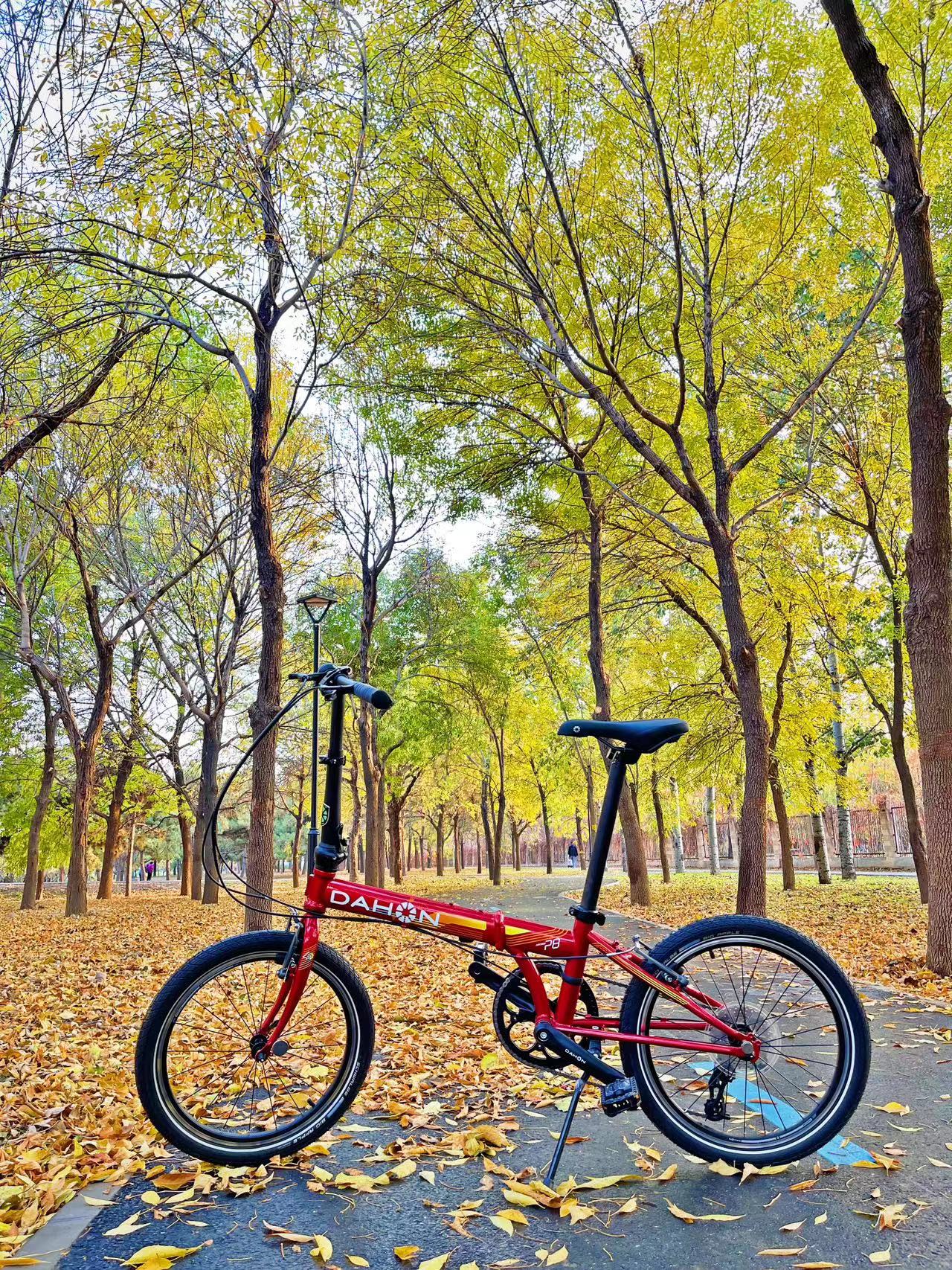 大行折叠车 K-one P8 40th纪念版_大行sp18改装