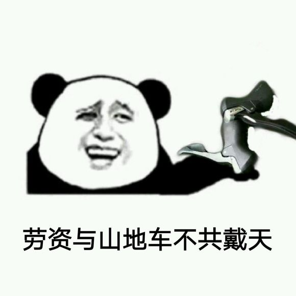 自行车前轮圈上xc是什么意思_自行车前车圈是什么_自行车上的车轮是什么