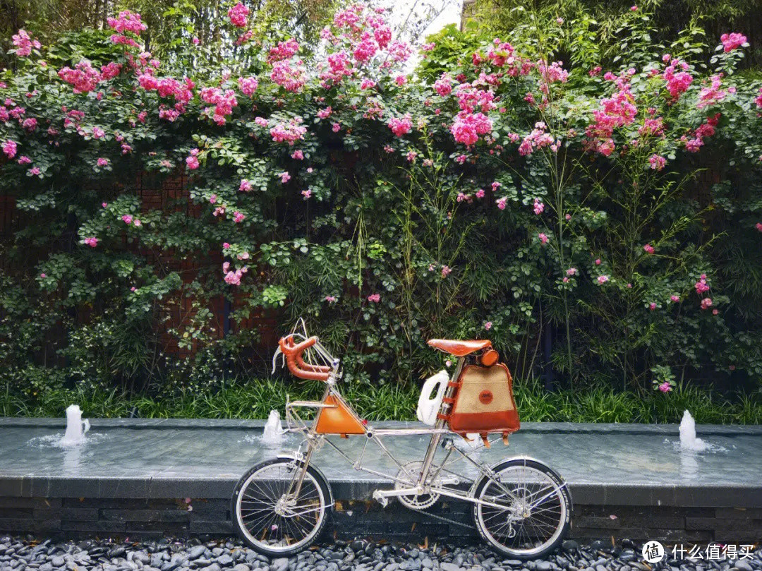 折叠车文化_折叠车选购指南_美国大行折叠车专卖店怎么样