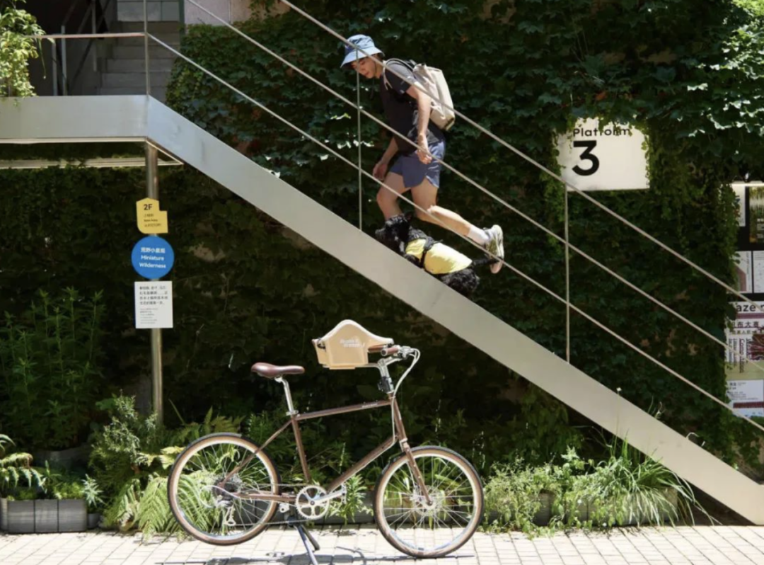 捷安特崔克闪电降价潮_捷马内三速自行车价格_自行车品牌降价