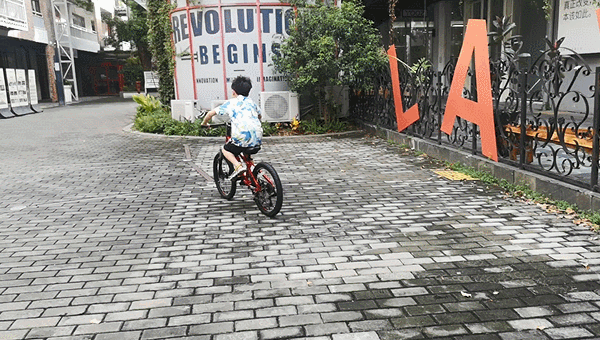 自行车花鼓尺寸_自行车尺寸花鼓怎么安装_自行车花鼓尺寸表