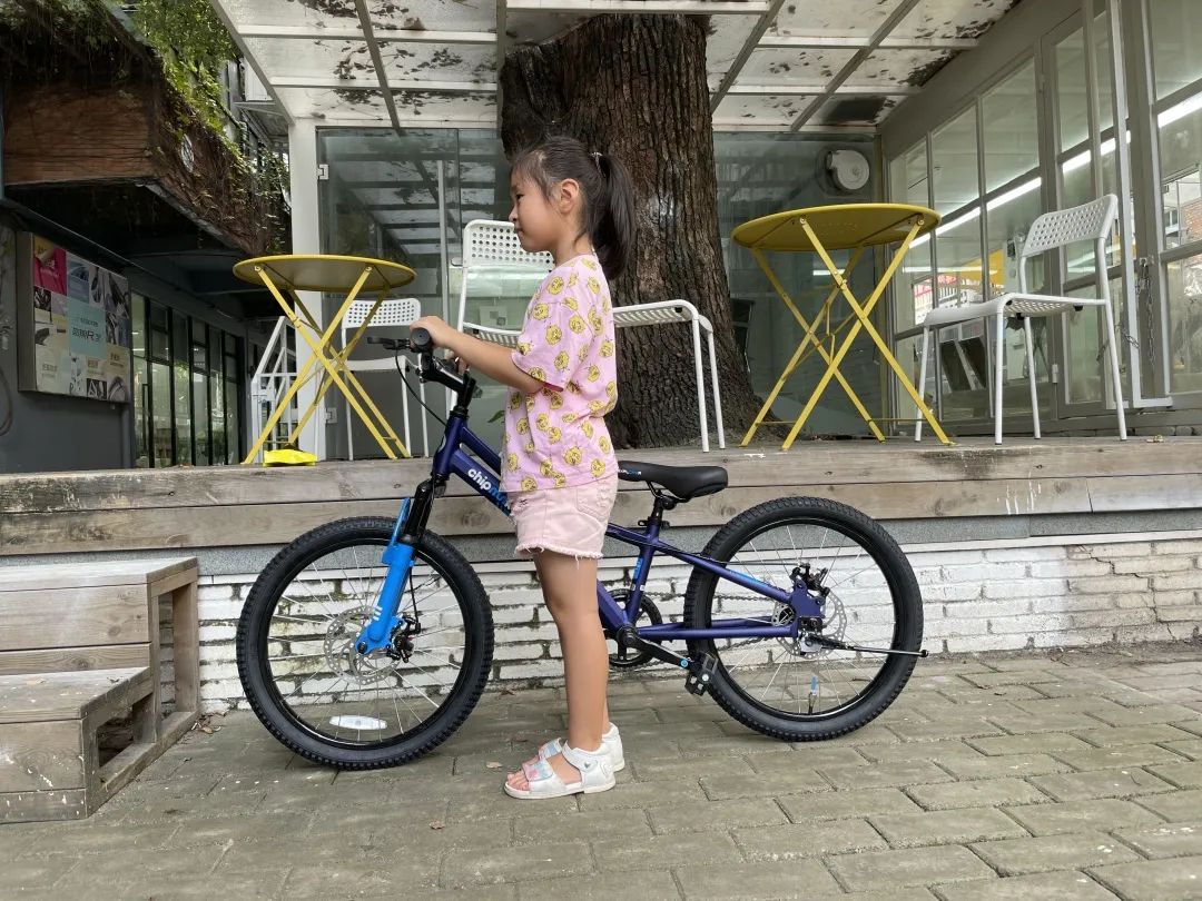 自行车花鼓尺寸表_自行车尺寸花鼓怎么安装_自行车花鼓尺寸