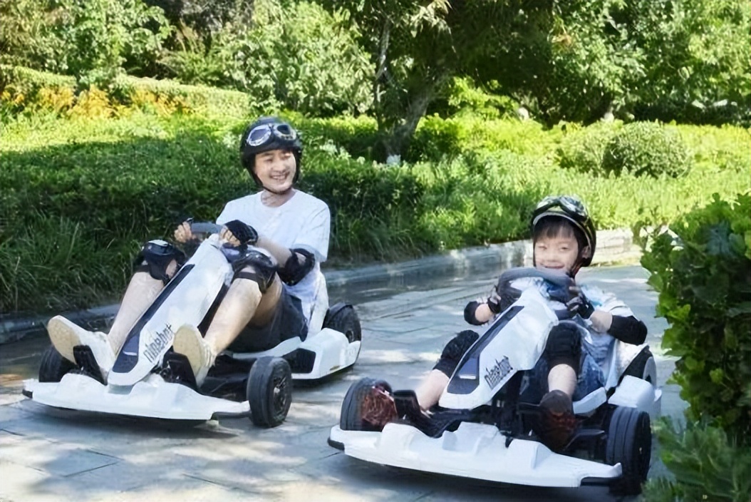 电动平衡车市场分析_九号与领奥品牌定位比较_智能平衡车品牌