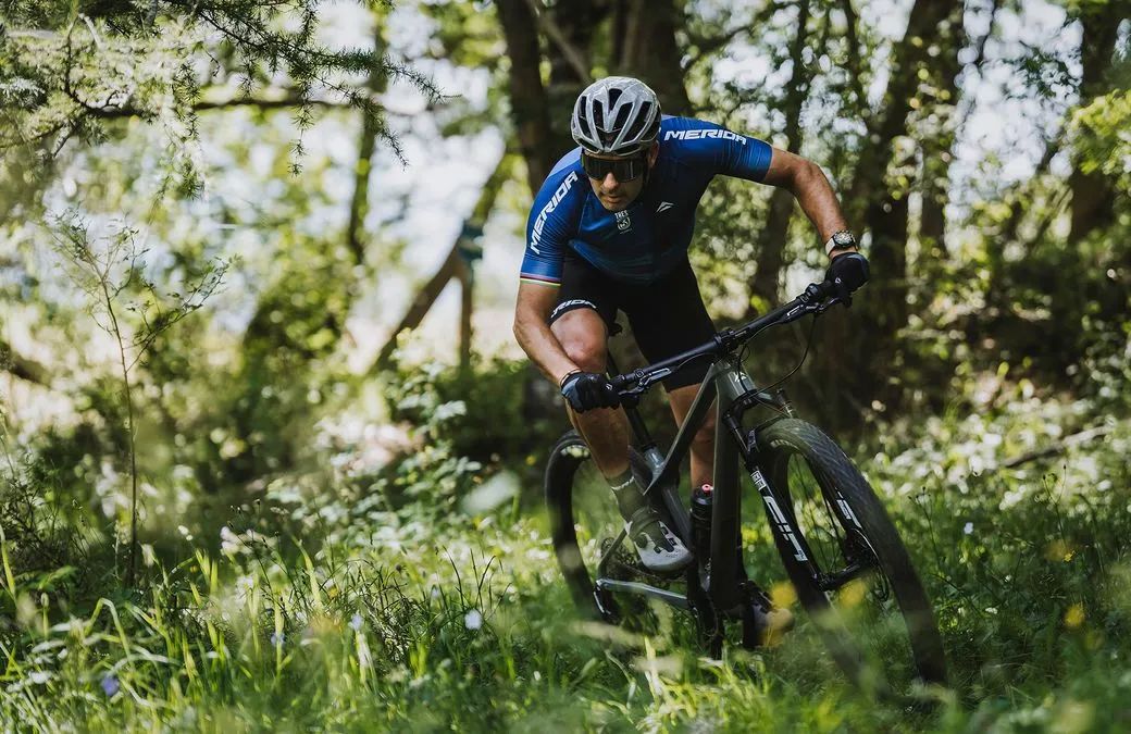 单车把手样式轮胎兼容性车款尺寸_美利达飞度的链条型号_自行车入门挑选要素