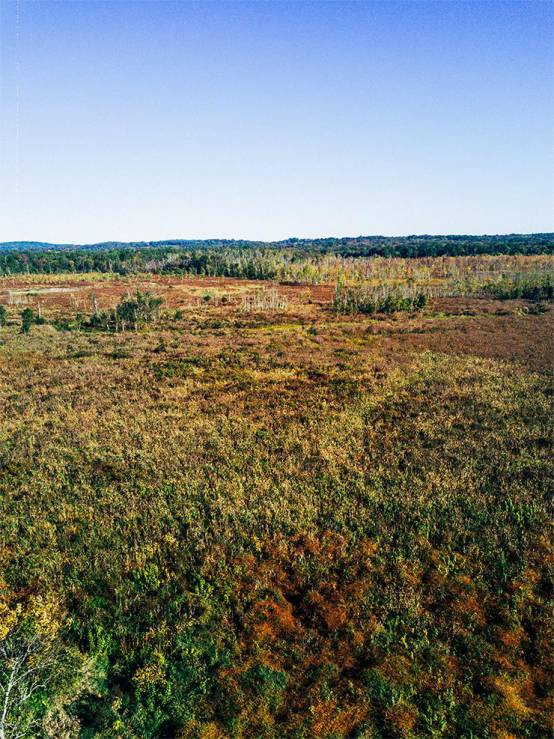 mavicpro夜拍_dji.mavic.pro_mavic pro价格