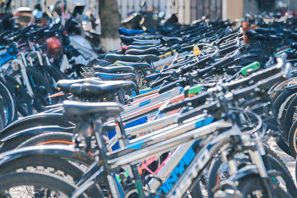 liv自行车价格_女性公路自行车选购指南_捷安特内三速自行车