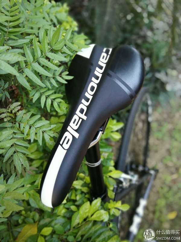 cannondale报价_cannondale supersix evo 淘宝购买经历_佳能戴尔 supersix evo 配置评测