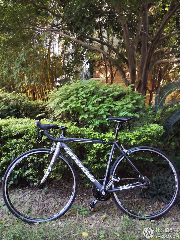 佳能戴尔 supersix evo 配置评测_cannondale supersix evo 淘宝购买经历_cannondale报价