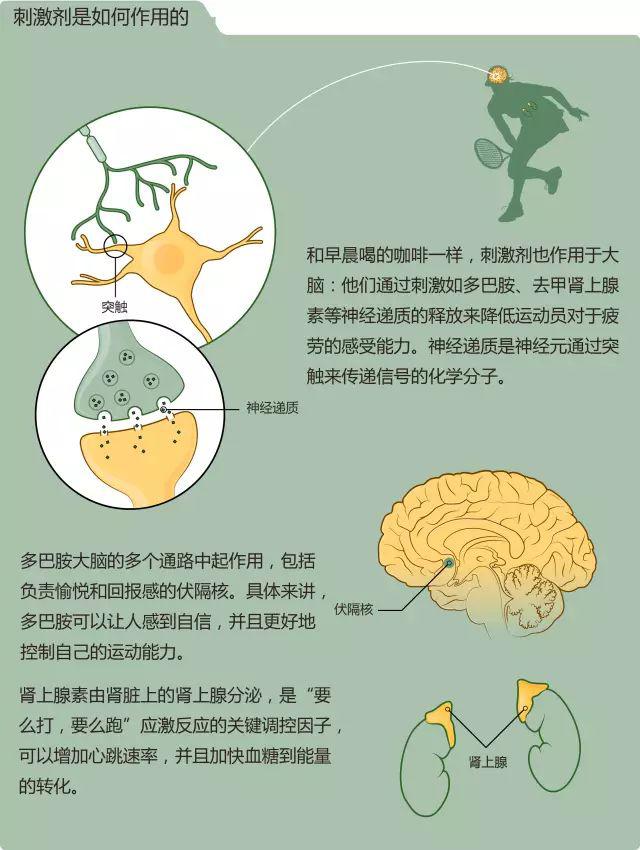 某自行车运动员在_自行车运动员_自行车运动员跑步怎么样