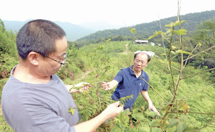 宁波拓尔电机有限公司_拓电机宁波有限公司招聘_拓电机宁波有限公司官网