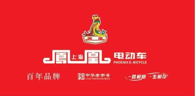 大行和捷安特哪个好_中国自行车品牌优劣势分析_捷安特品牌战略研究