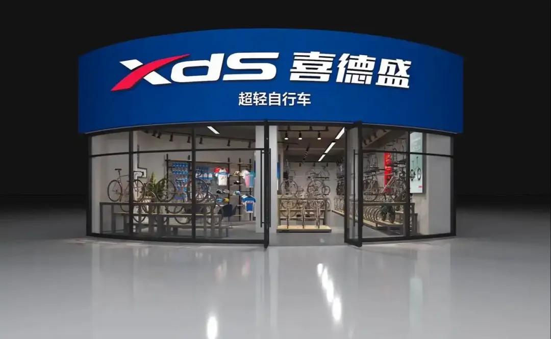 中国自行车品牌优劣势分析_大行和捷安特哪个好_捷安特品牌战略研究