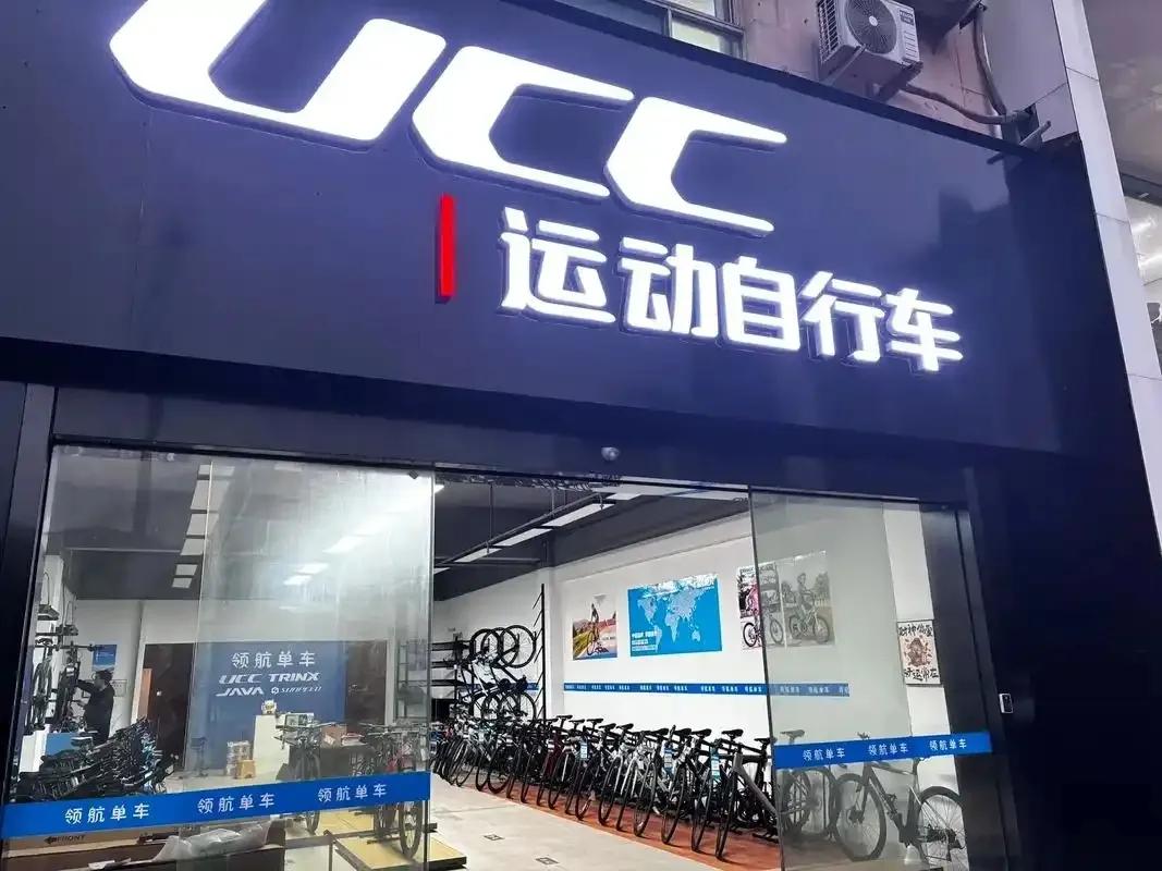 捷安特品牌战略研究_大行和捷安特哪个好_中国自行车品牌优劣势分析