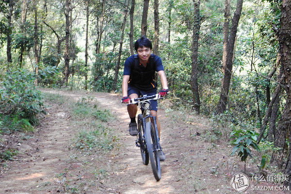 2007年单车购买经历_2010年单车升级改造_大行和捷安特哪个好