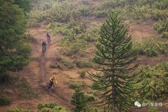 山地车轮胎打气气压_山地车轮胎气压_山地胎打多少气压