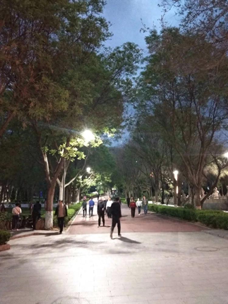 星空·体育中国官方网 夜色正浓时