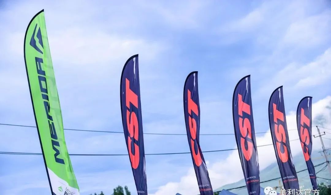 美利达king轮胎_美利达的轮胎是正新?_美利达原车轮胎是什么品牌