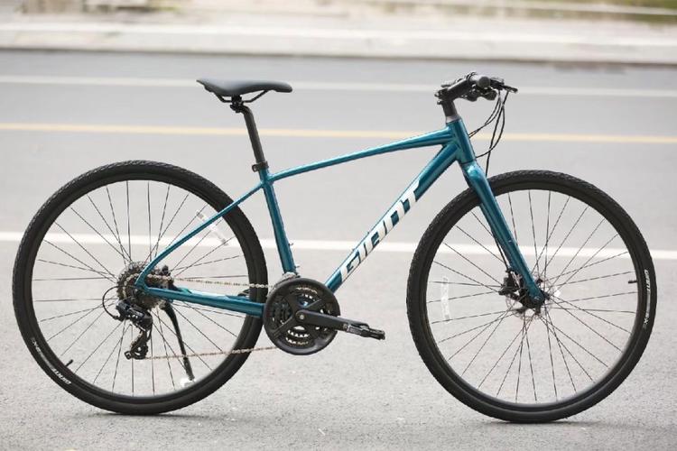 捷安特美利达公路车对比_美利达车架号几位_山地车性能评测