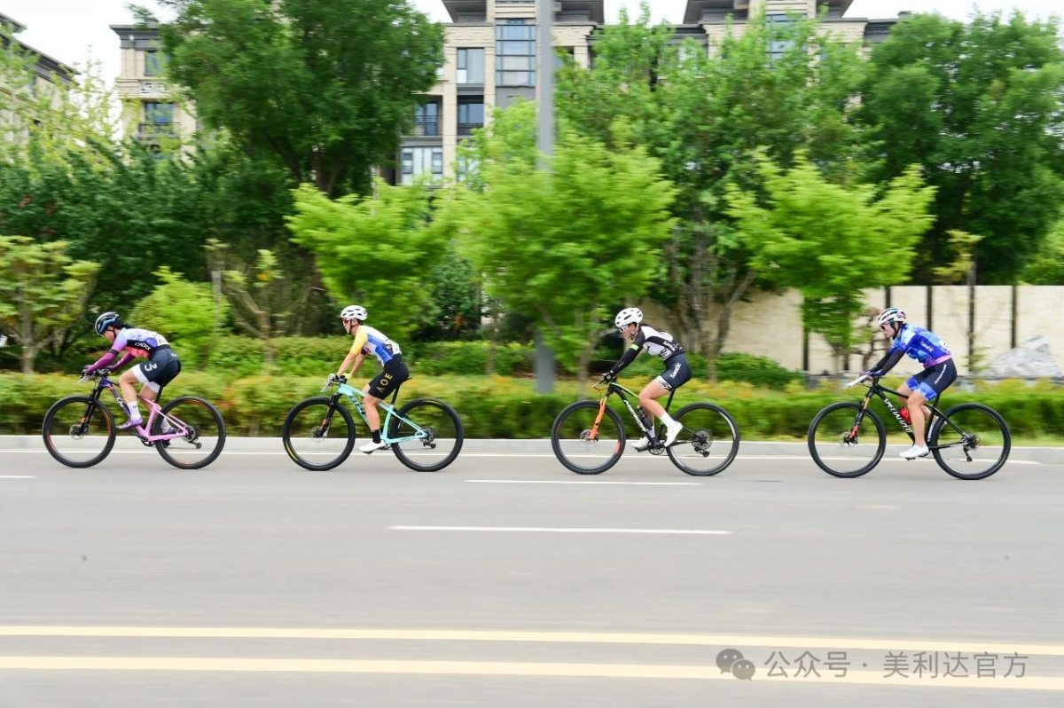 美利达轮胎是什么轮胎_美利达原装轮胎_美利达的轮胎是正新?