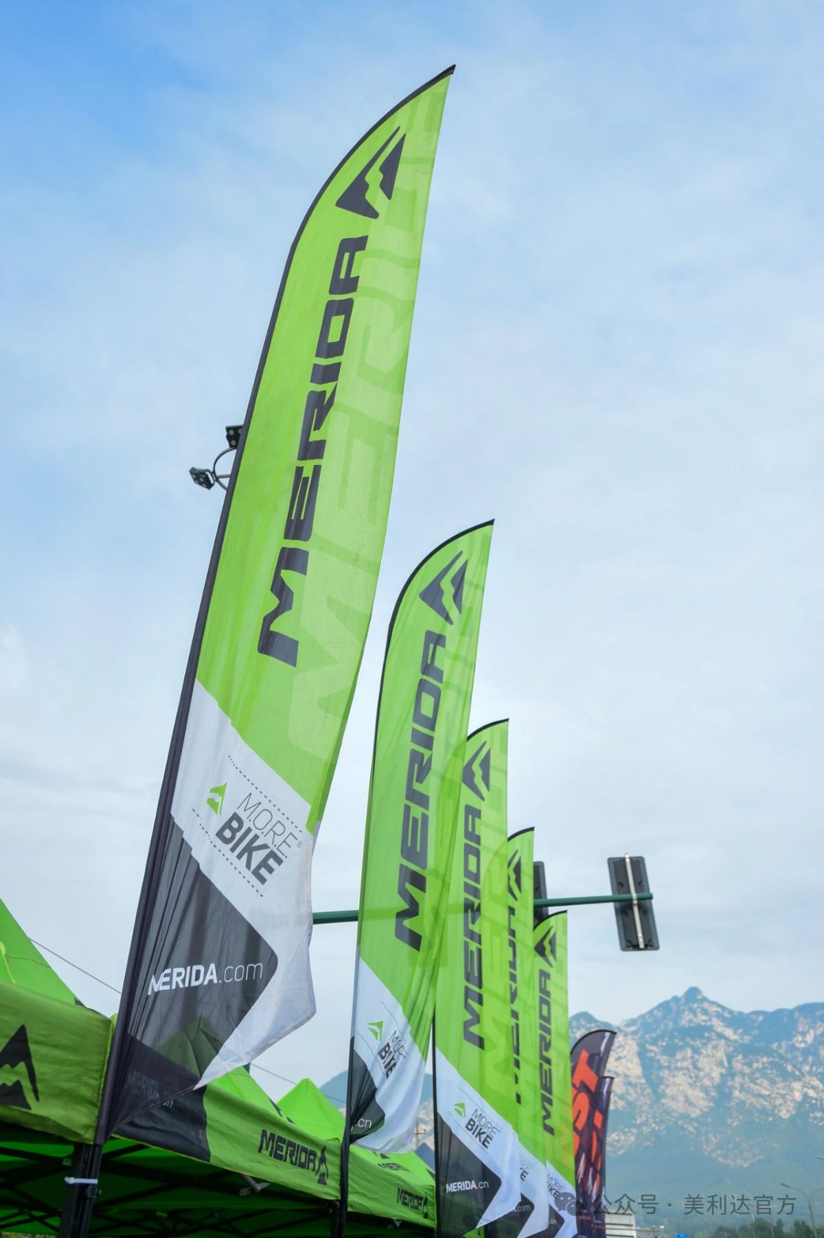 美利达的轮胎是正新?_美利达轮胎是什么轮胎_美利达原装轮胎