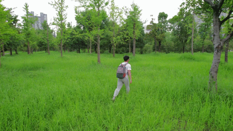 mavic air 全景_大疆Air2S 1英寸CMOS无人机_大疆Air2S折叠便携无人机评测