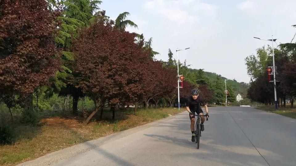 野兽自行车是哪的品牌_野兽自行车是不是破产了_野兽自行车品牌是什么