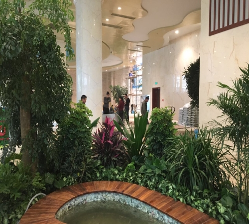 长春办公室绿植设计施工_浦东新区植物租赁_橄榄竹绿植租赁