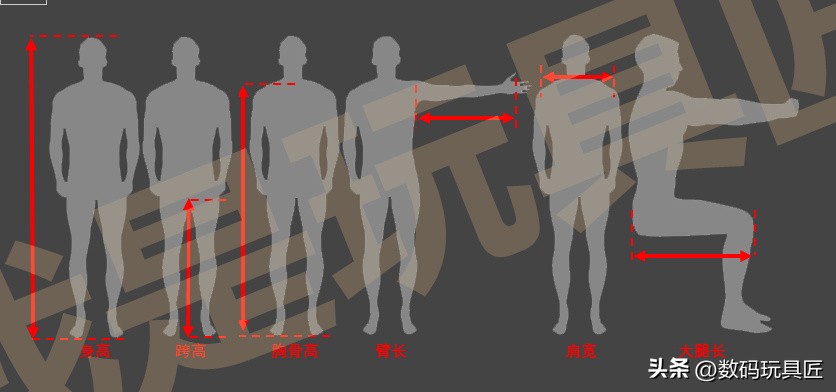 美利达公路车r902重量_美利达官网Bike Sizing工具使用方法_公路自行车车架尺码选择