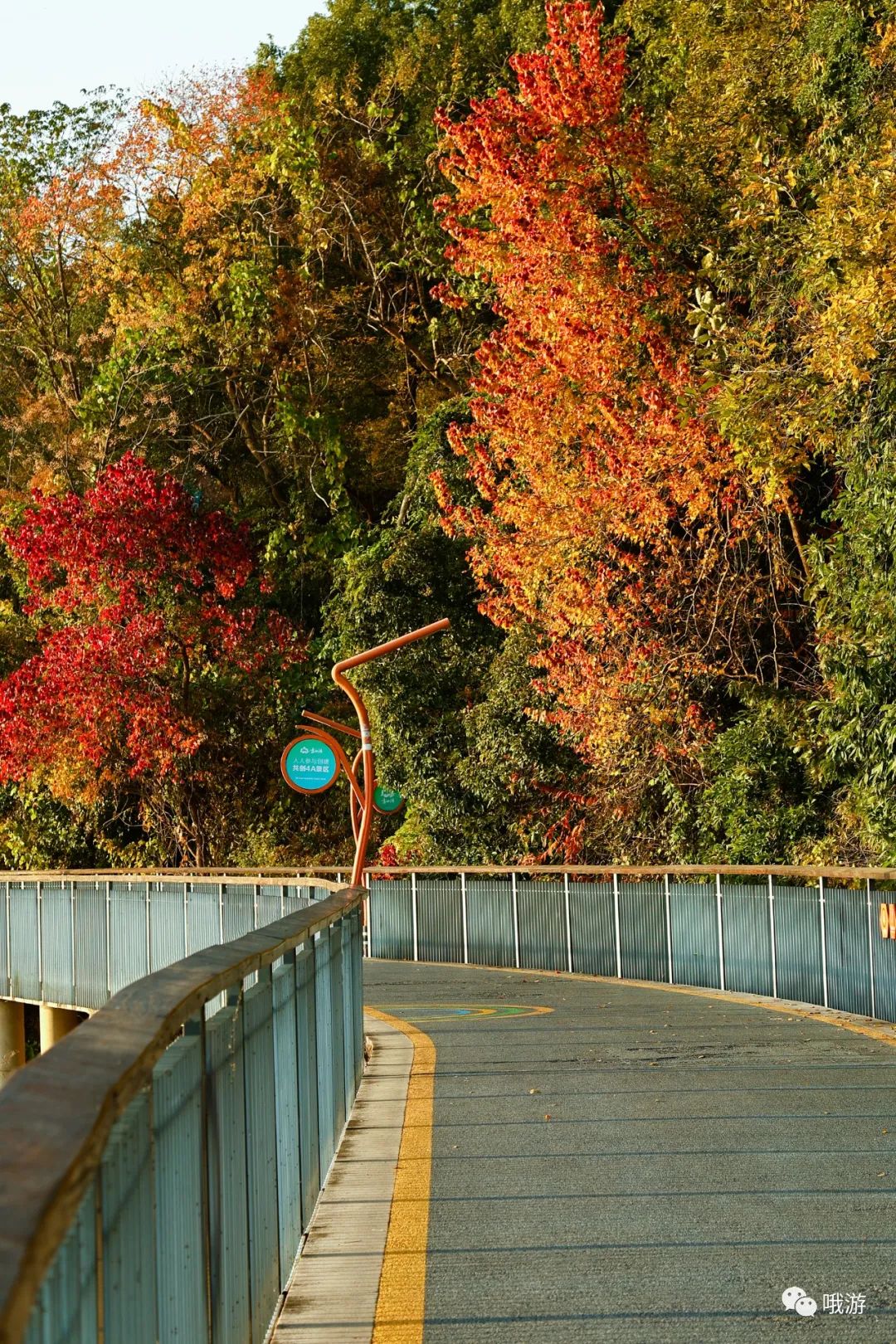 大行和捷安特哪个好_大行捷安特折叠车_大行捷安特哪个好
