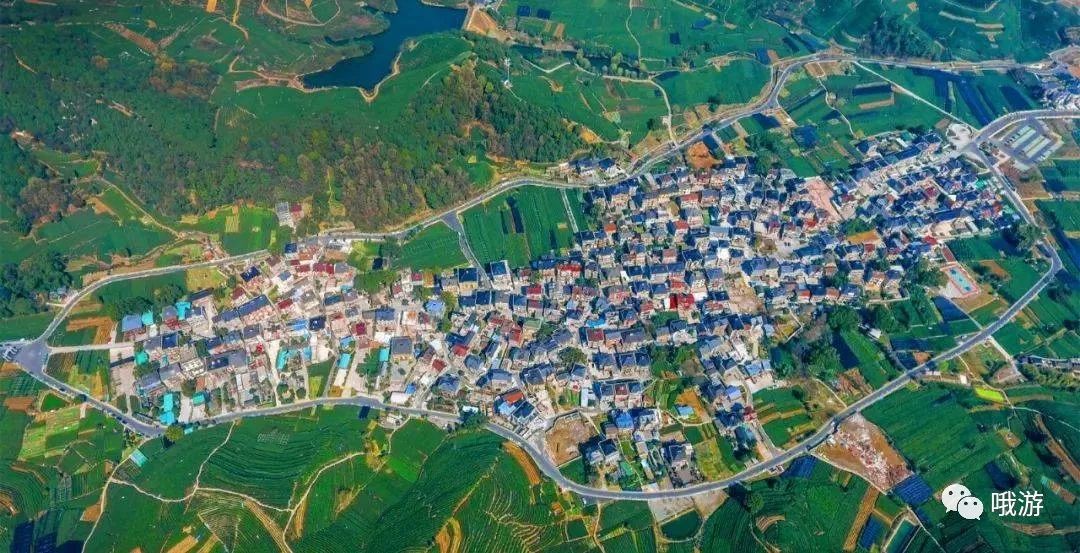 大行捷安特哪个好_大行和捷安特哪个好_大行捷安特折叠车