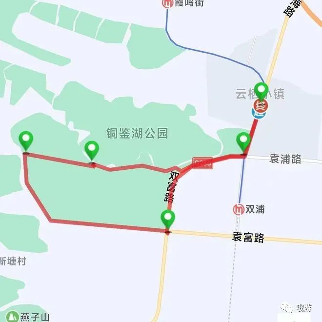 大行捷安特折叠车_大行捷安特哪个好_大行和捷安特哪个好