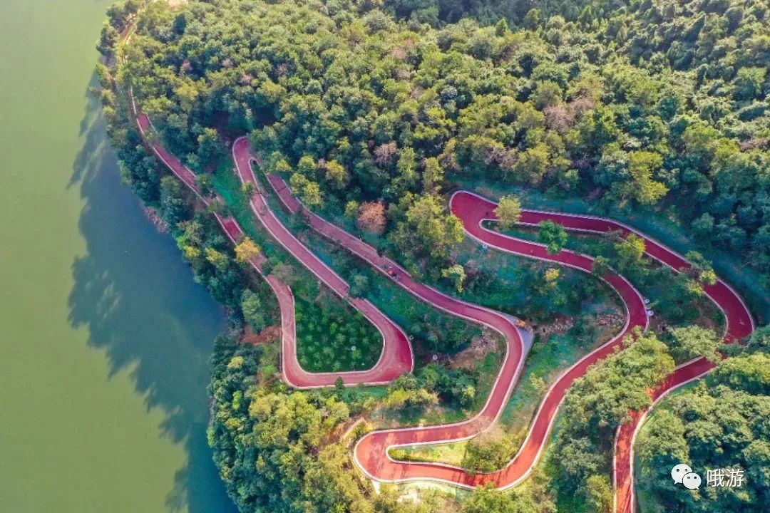 大行捷安特折叠车_大行和捷安特哪个好_大行捷安特哪个好