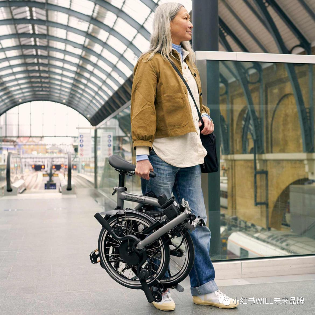 大行和捷安特哪个好_大行捷安特折叠车哪个好_大行捷安特折叠车