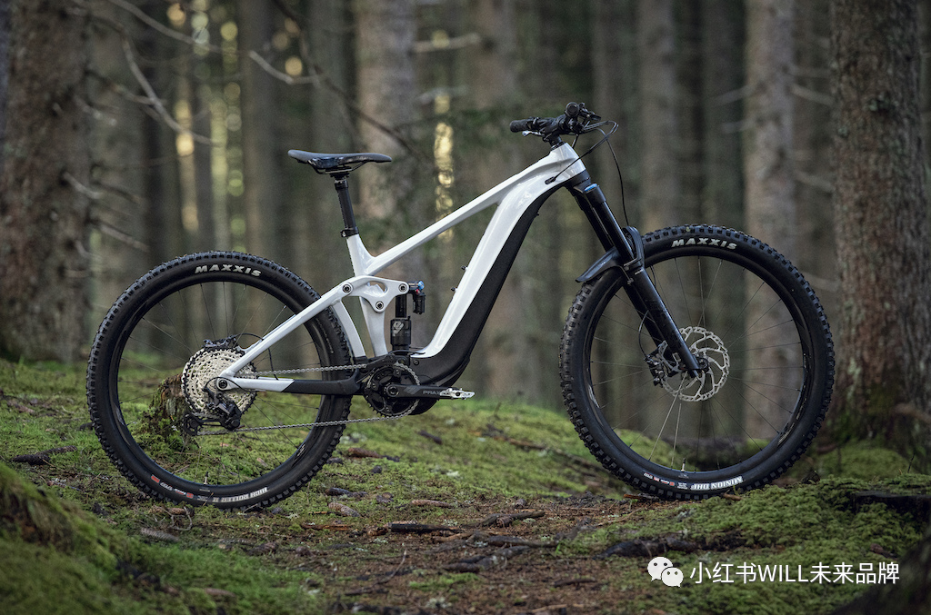 大行和捷安特哪个好_大行捷安特折叠车哪个好_大行捷安特折叠车