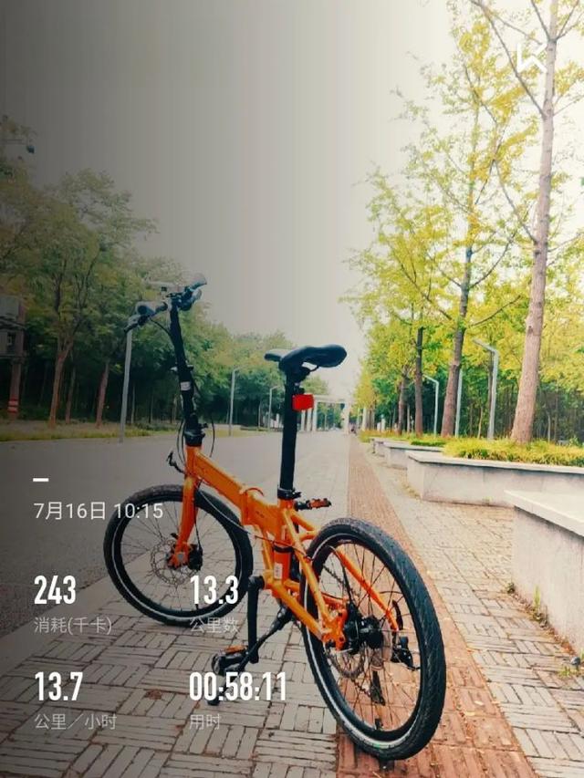 两千亿的市场开启，国产自行车迎来翻盘最佳时刻｜行业观察-有驾