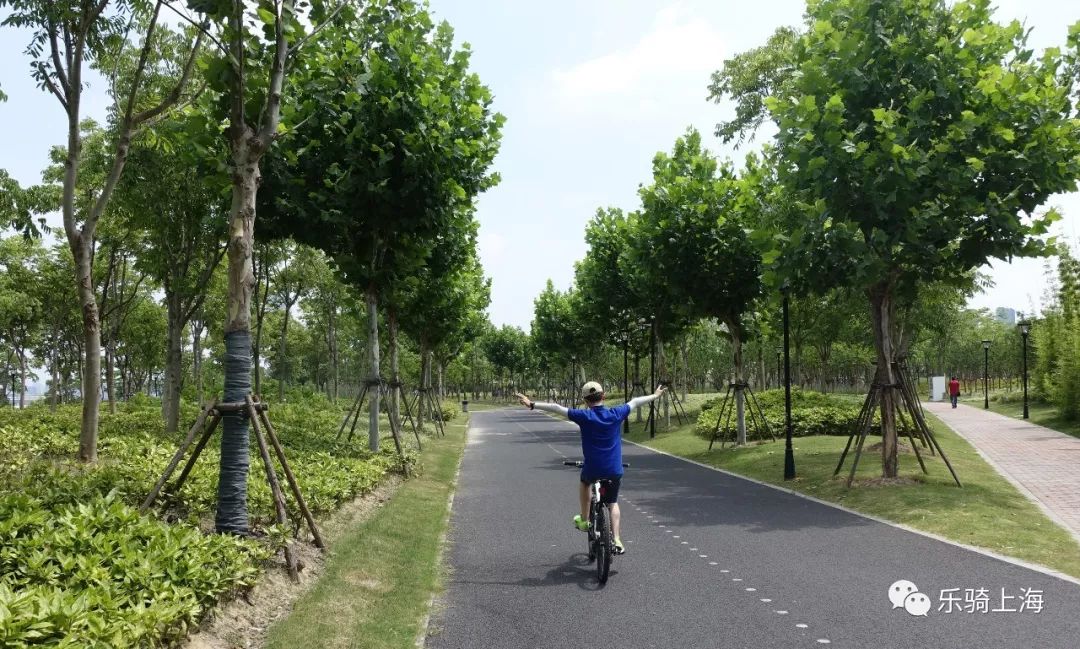 浦东去浦西哪座桥可行自行车_浦西到浦东 自行车_浦东自行车骑行路线