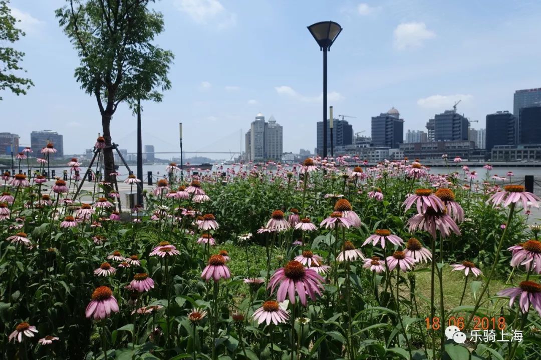浦东去浦西哪座桥可行自行车_浦西到浦东 自行车_浦东自行车骑行路线