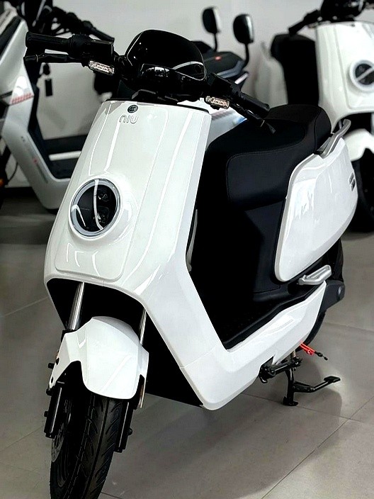 2025上半年电动车销量_2025爱玛电动车销量_雅迪爱玛销量排行