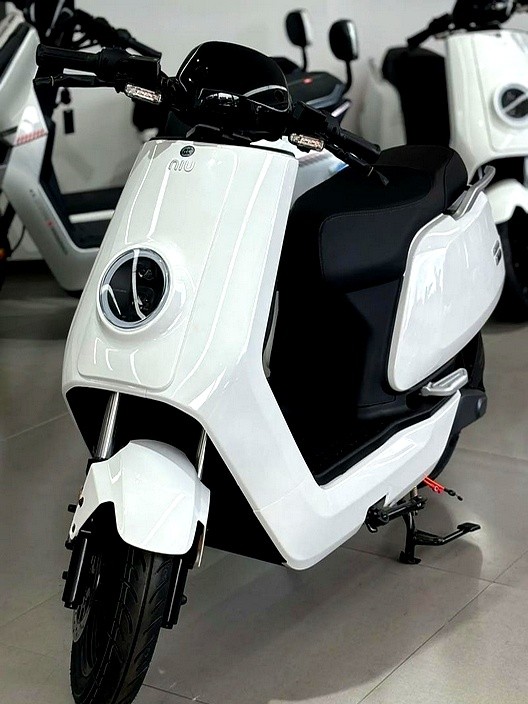 电动车市场2025上半年销量_2025爱玛电动车销量_雅迪市场份额