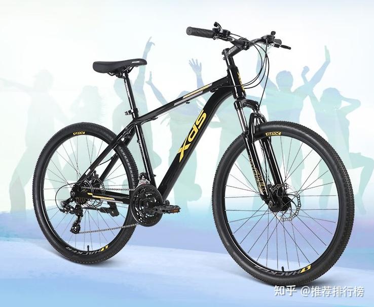 星空·综合体育官网入口 山地车十大品牌排名，山地车哪个牌子的好