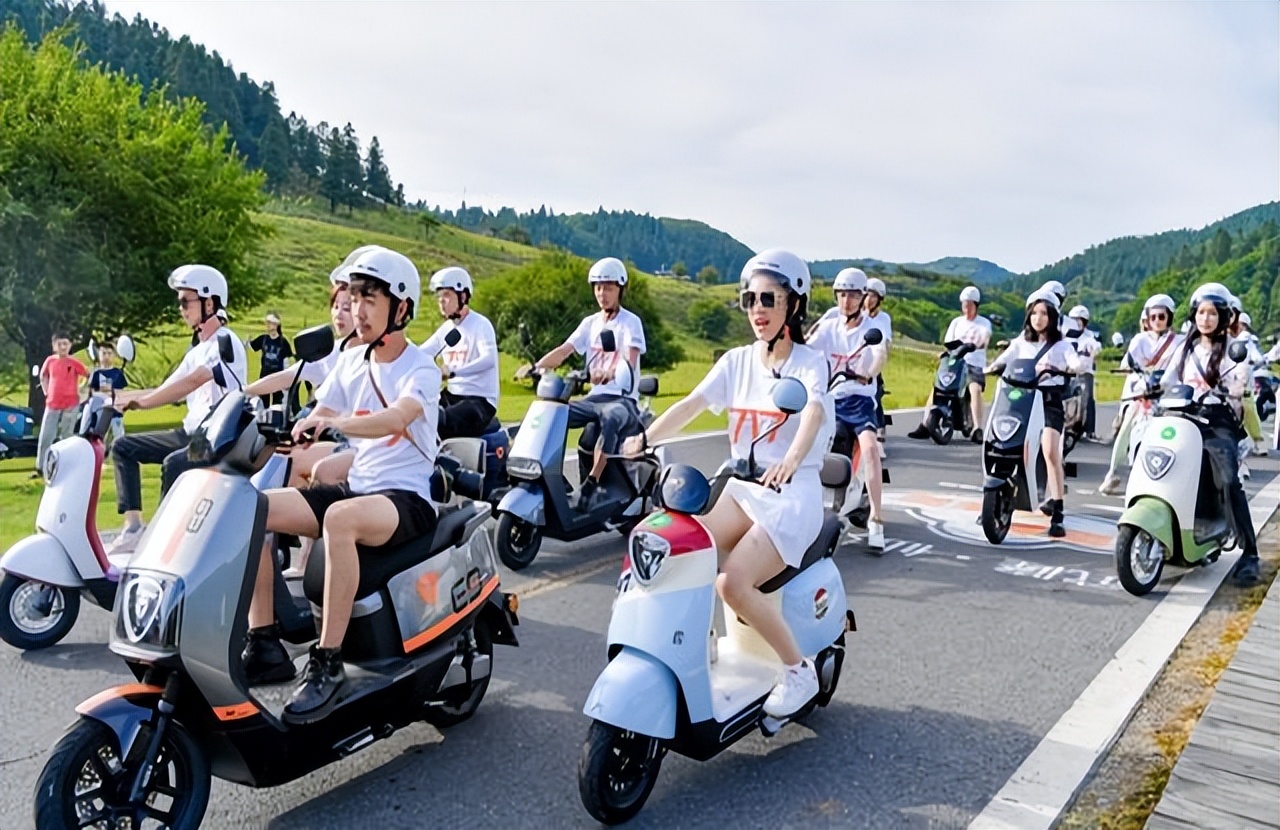 2025爱玛电动车销量_电动车品牌销量_补贴政策影响