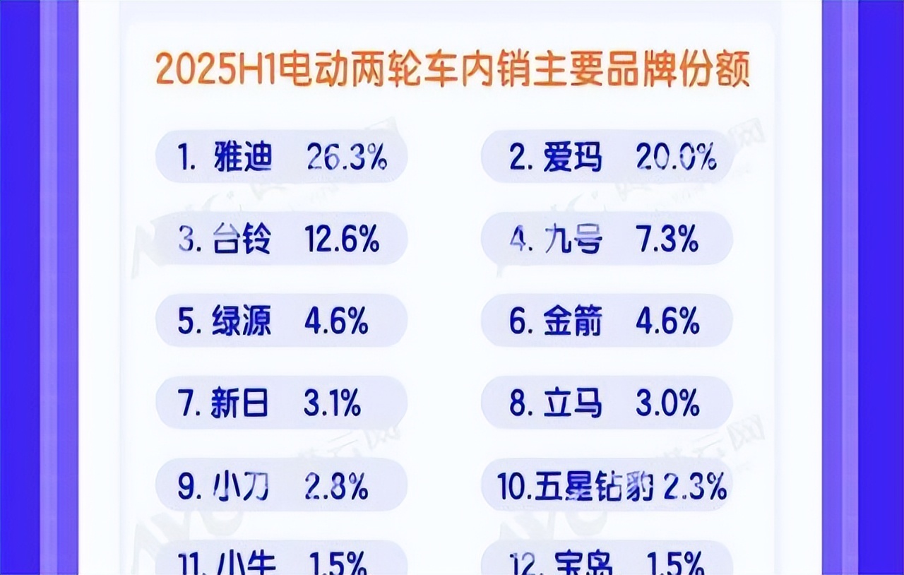 电动车品牌销量_2025爱玛电动车销量_补贴政策影响