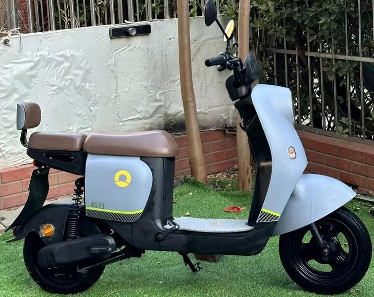 雅迪电动车销量分析_2025上半年电动车销量排行榜_2025爱玛电动车销量