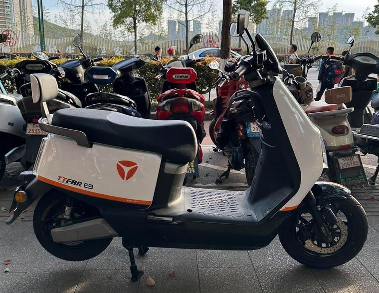 雅迪电动车销量分析_2025上半年电动车销量排行榜_2025爱玛电动车销量