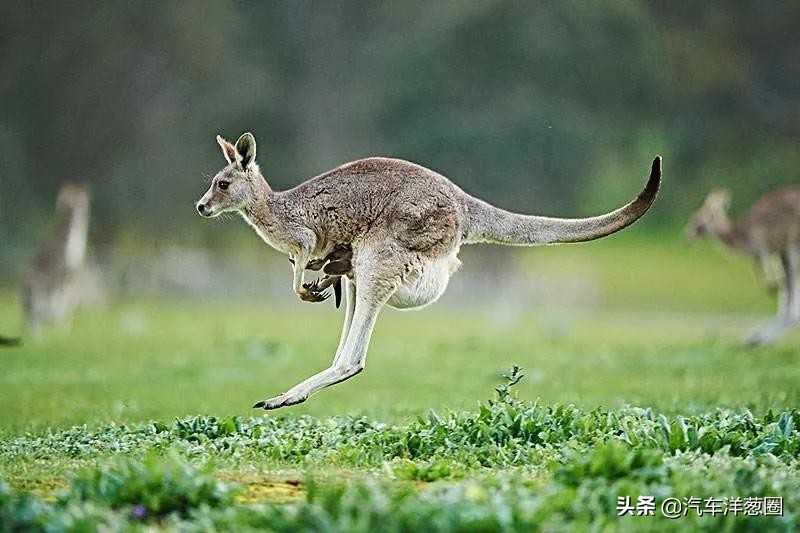 发动机冲程飞轮的作用_三缸机与四缸机对比_三缸发动机抖动原因