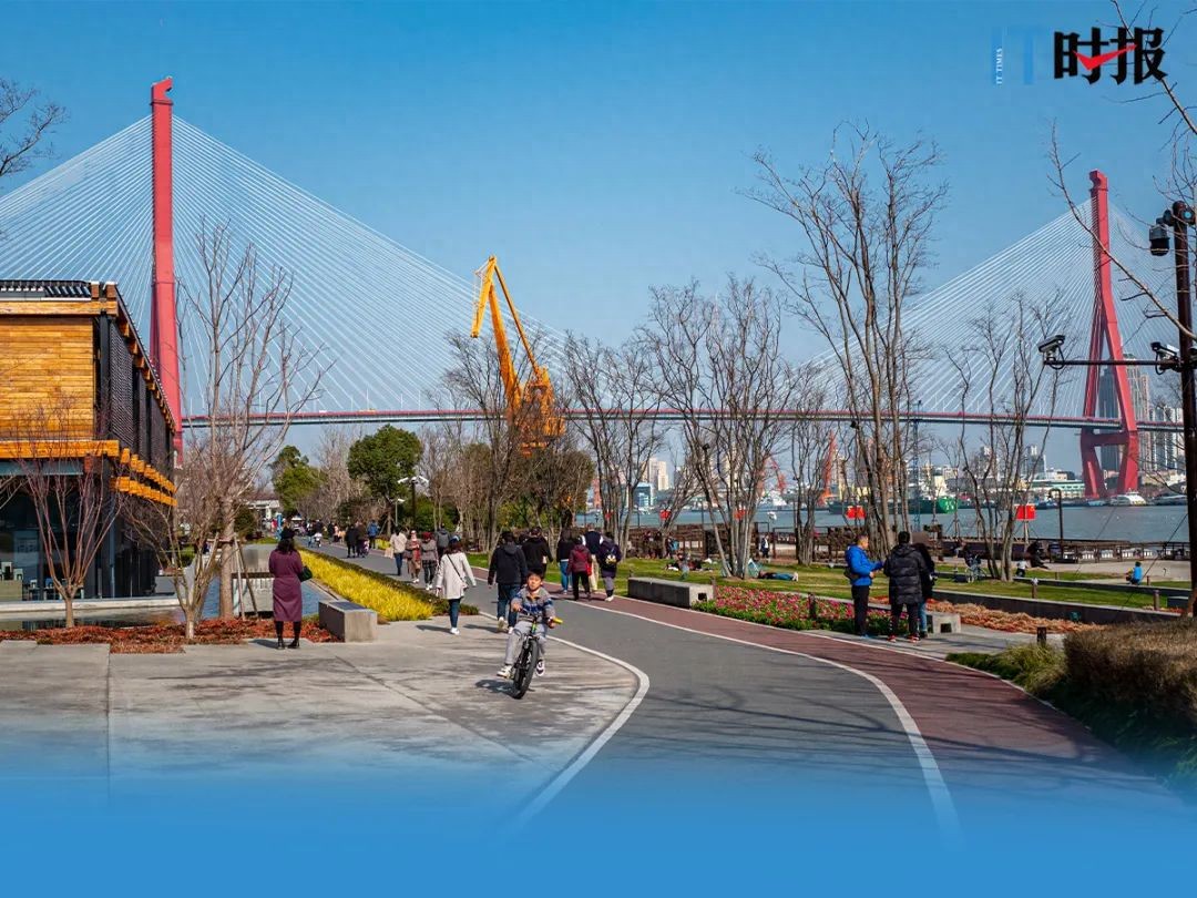 暗网下载 滨江骑行的路，好骑吗？